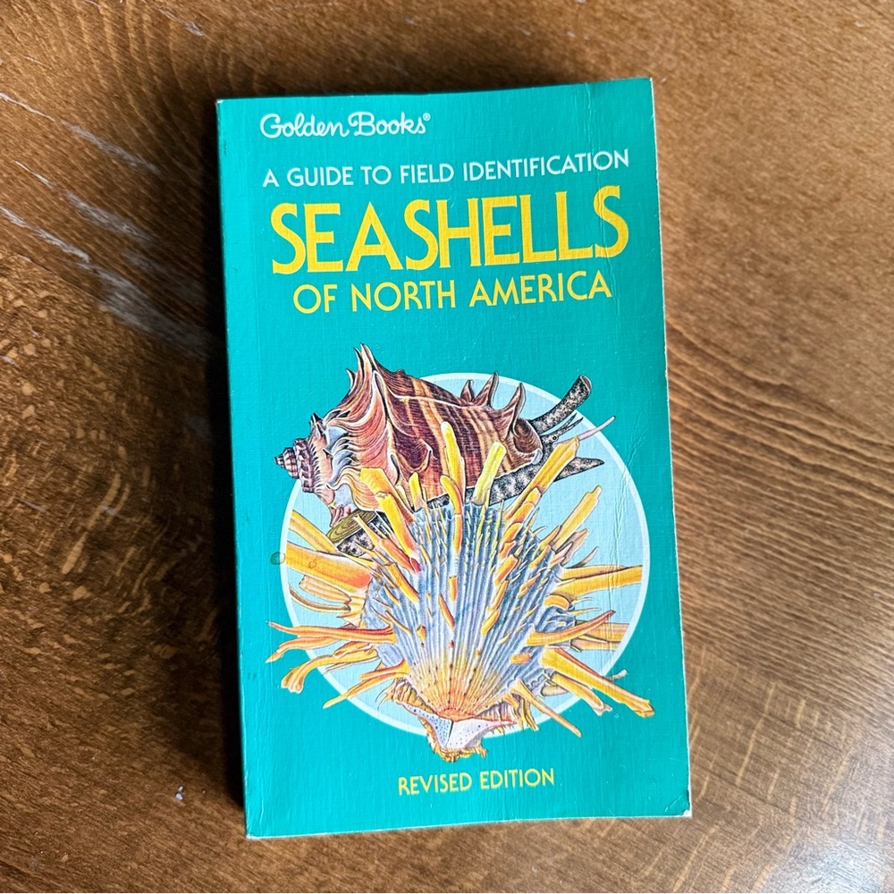 Seashells of North America A Guide to Field Identification - Picture 1 of 11